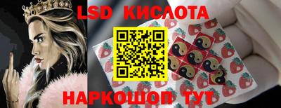 mdpv Новодвинск