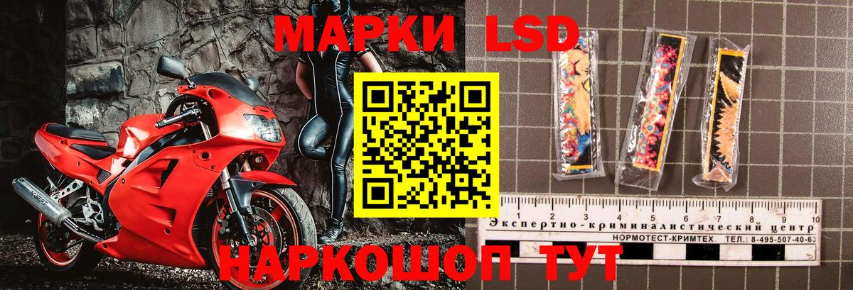 купить наркотик  Вход с VPN  Среднеуральск  Наркотические марки 1500мкг 